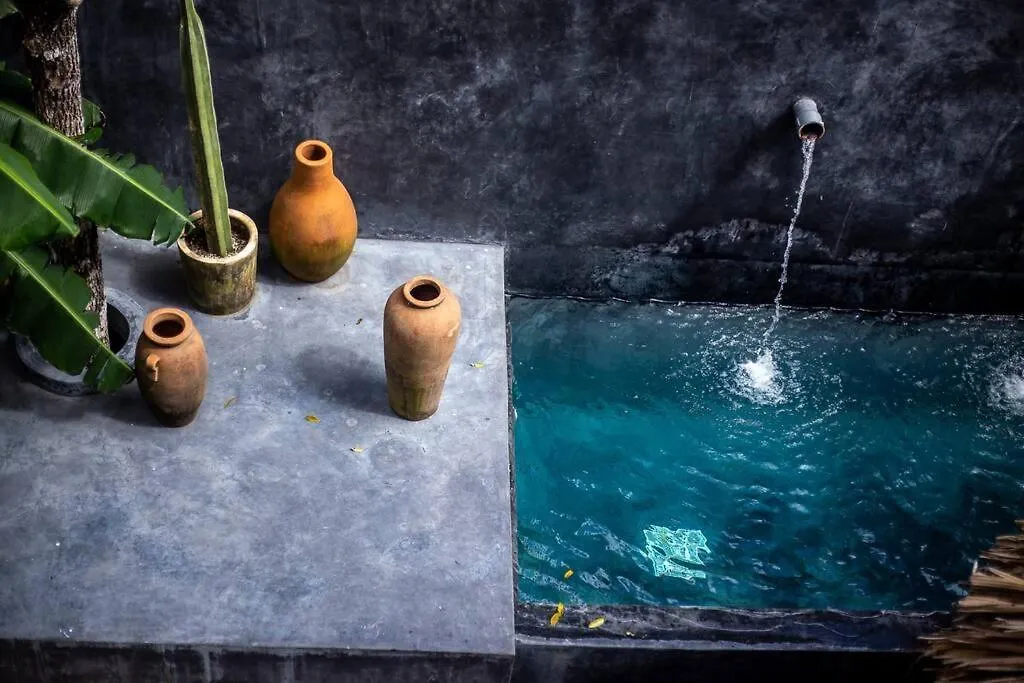 Ph Totally Private Pool & Rooftop @ La Veleta D8 Tulum
