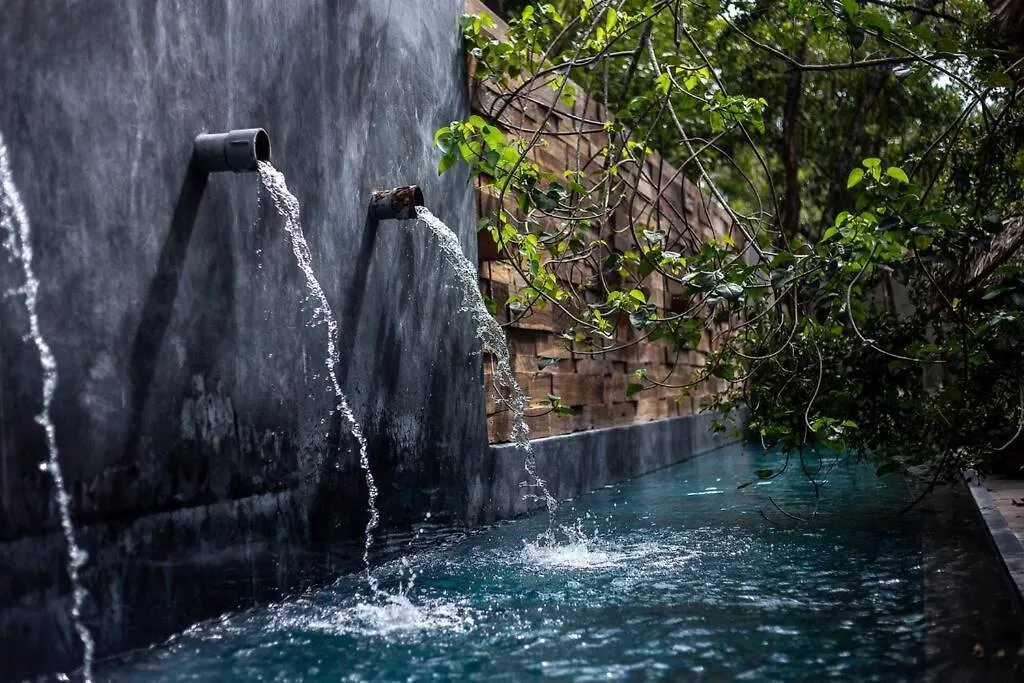 Apartment Ph Totally Private Pool & Rooftop @ La Veleta D8 Tulum